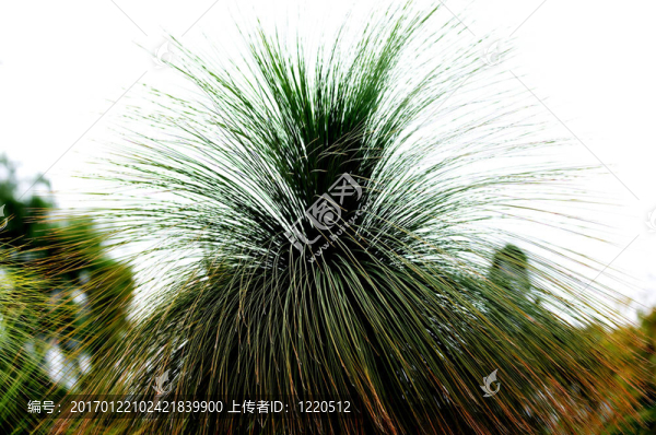 關(guān)于大自然和所有生物的大小