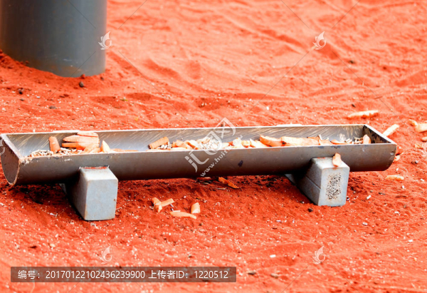 關(guān)于大自然和所有生物的大小-匯圖網(wǎng) www.fosd68.com 關(guān)于大自然和所有生物的大小