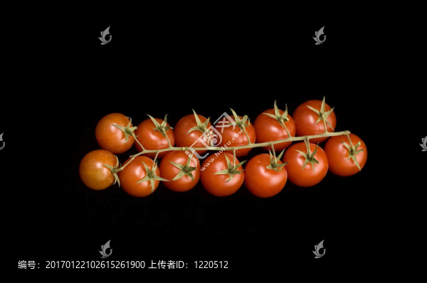 番茄