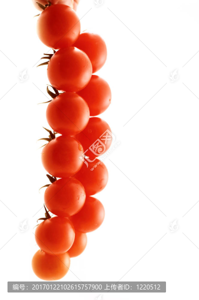 西紅柿