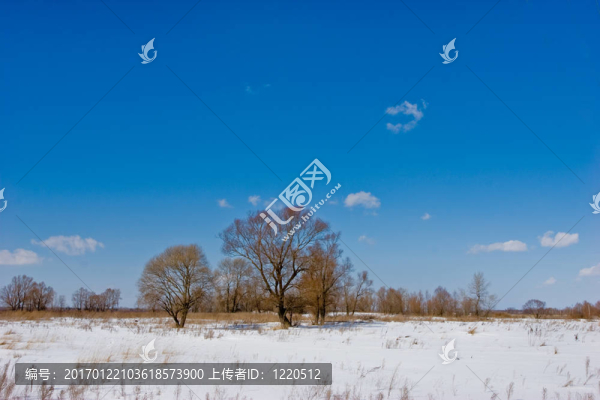 冬季景觀-匯圖網(wǎng) www.fosd68.com 冬季景觀