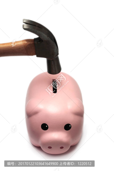 小豬銀行和Hammer