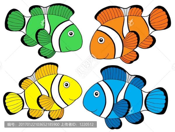 各種顏色的clownfishes,1