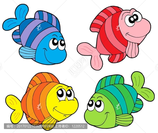 條紋的集魚
