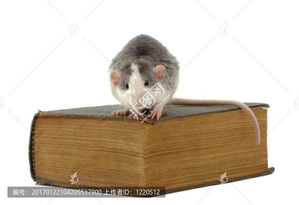 知識書卷