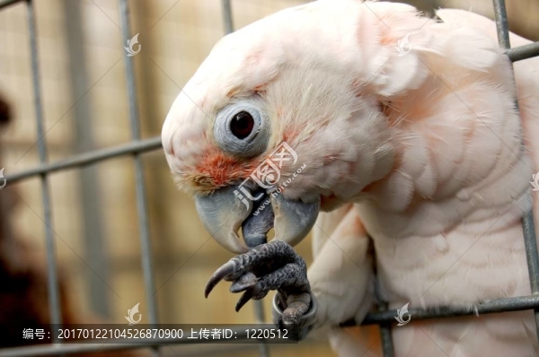 是誰在那里