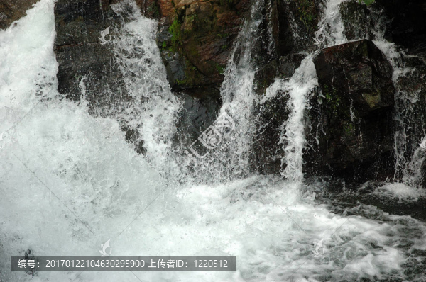 森林溪流