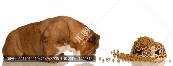 吃晚飯的時(shí)候
