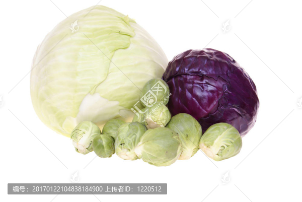 卷心菜