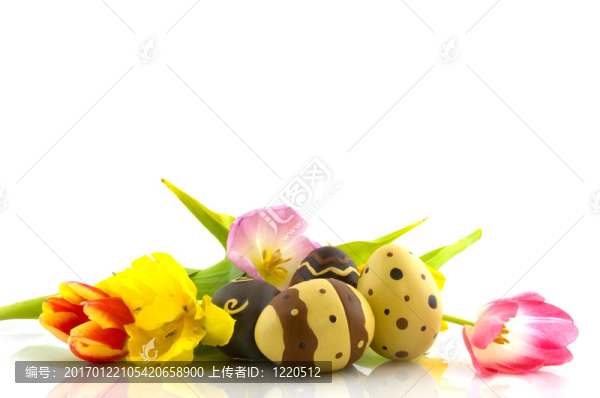 郁金香和復(fù)活節(jié)雞蛋