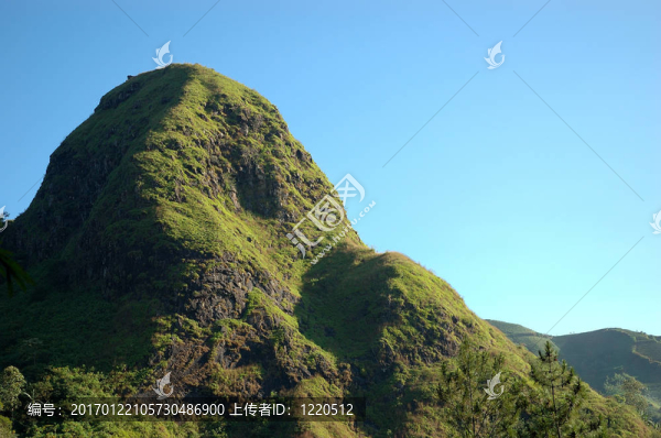 山
