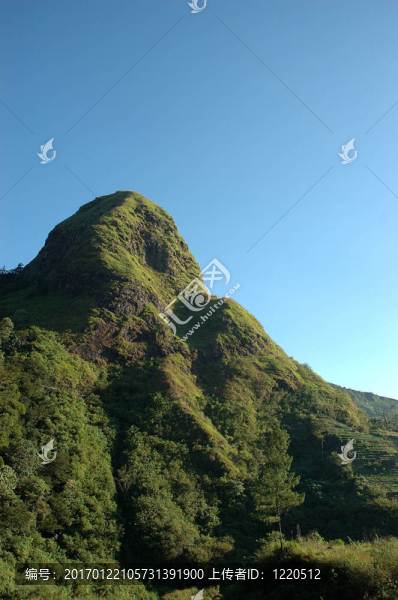山