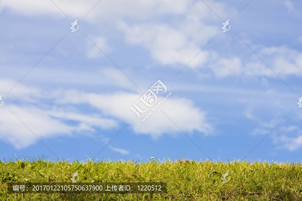 綠草和藍天