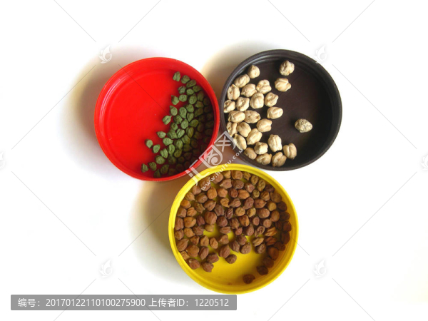 三色雞豌豆三色帽頂部視圖