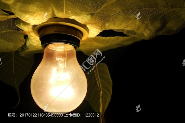 電燈泡