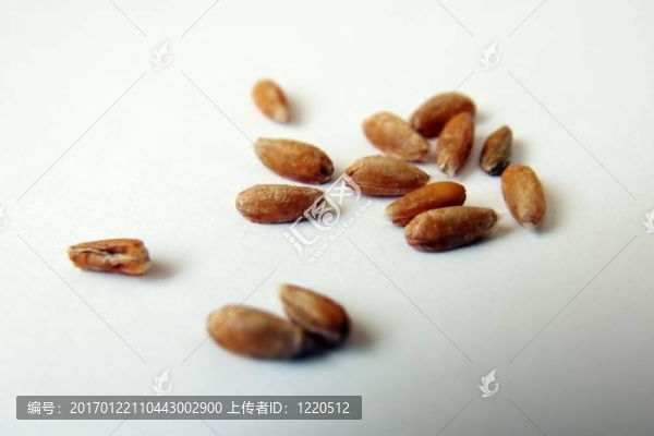 拼寫