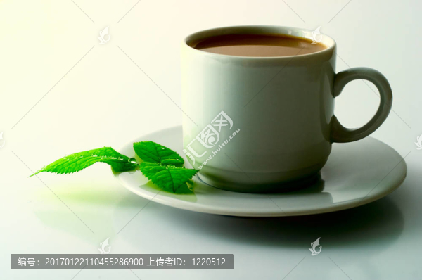 杯咖啡的葉子
