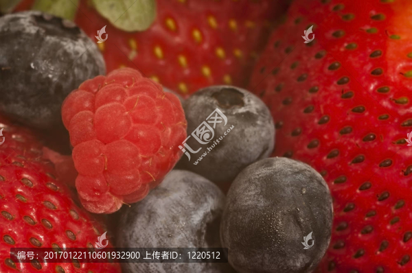 漿果系列