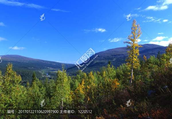 山