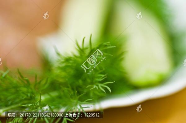 馬鈴薯；鹽黃瓜和蒔蘿的靜物。