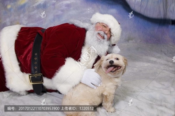 Santa和小狗