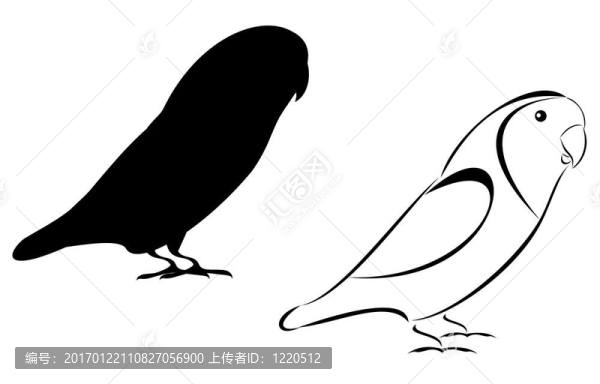 情侶鸚鵡