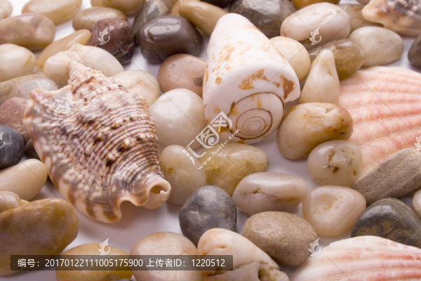 海貝殼和卵石