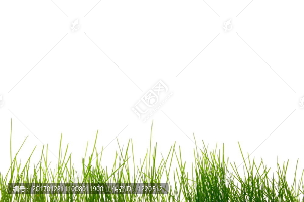 草