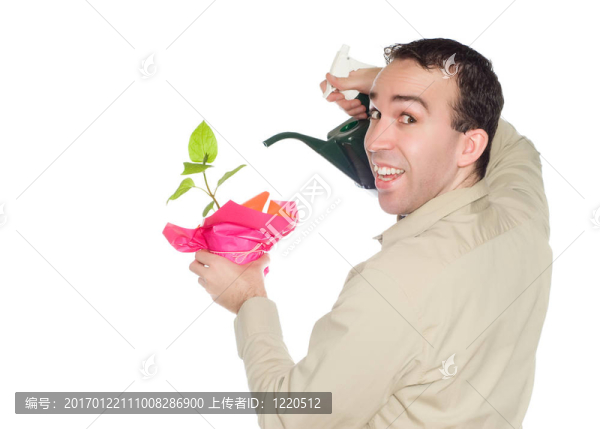 植物的生長