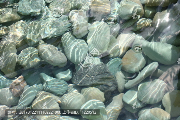 水