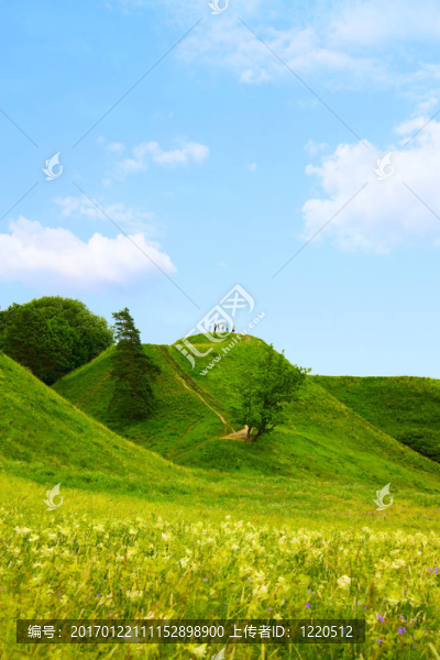 青山