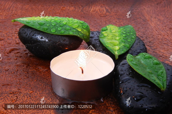 禪觀與石頭和樹葉