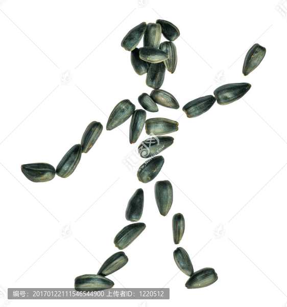 人類(lèi)從葵花籽