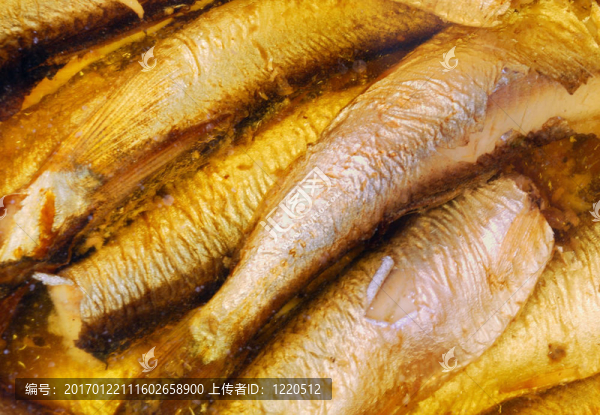 鯡魚罐頭