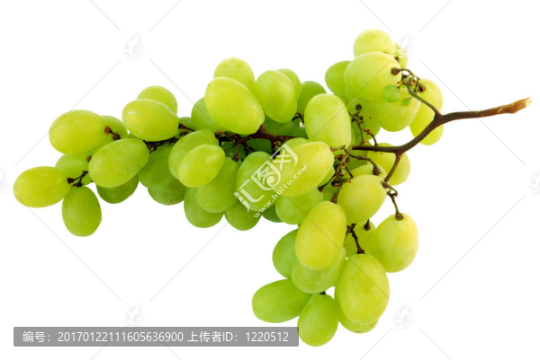 美味的葡萄
