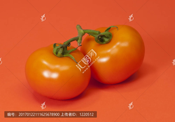 葡萄成熟的西紅柿