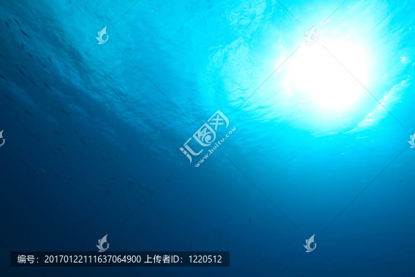 海洋；太陽和魚