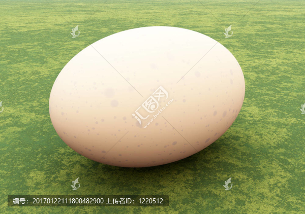 雞蛋