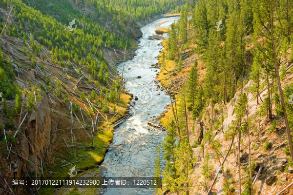 黃石河