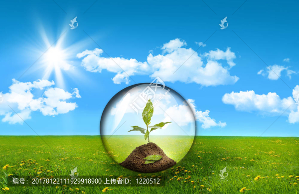 長(zhǎng)滿高草的植物玻璃球