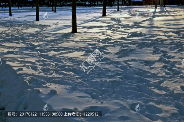 雪上的日落