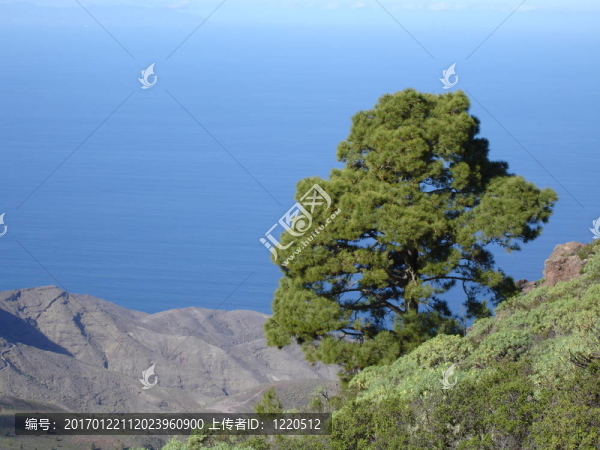 向海的山觀