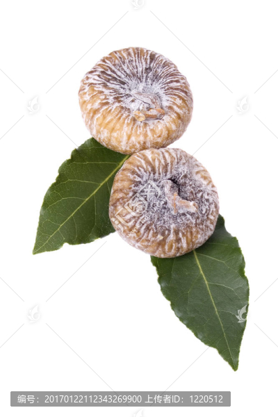 干無(wú)花果