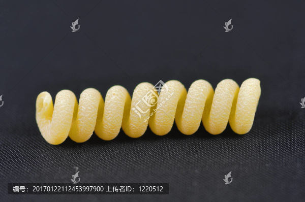 意大利面食