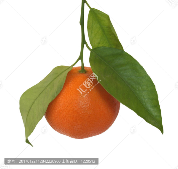 橙色