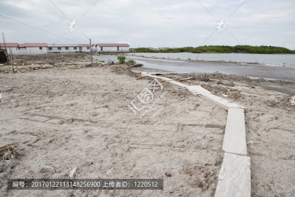 Mudflats木棧道