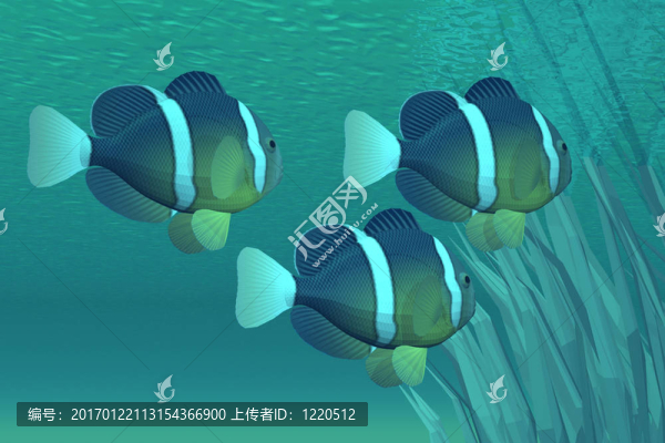 沿海的寶石