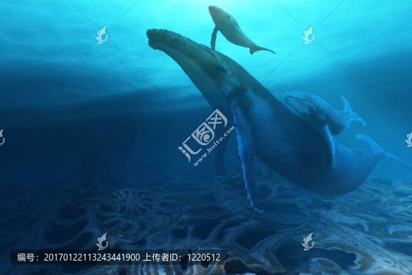 化石
