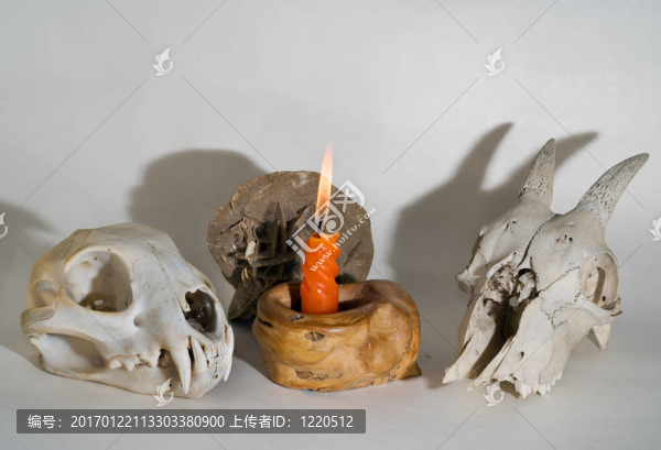 頭骨和蠟燭1
