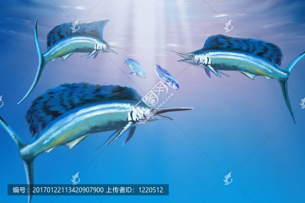深深的海洋